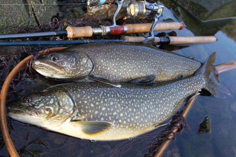 2016年 中禅寺湖 レポート（ルアーフィッシング） | WILD-1 FISHING BLOG