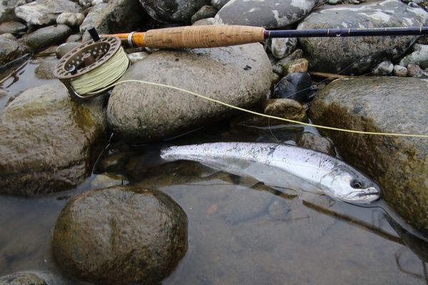 ドライフライで狙う鬼ヤマメ 鬼怒川の尺上ヤマメ Wild 1 Fishing Blog ドライフライで狙う鬼ヤマメ 鬼怒川の尺上ヤマメ Wild 1 Fishing Blog