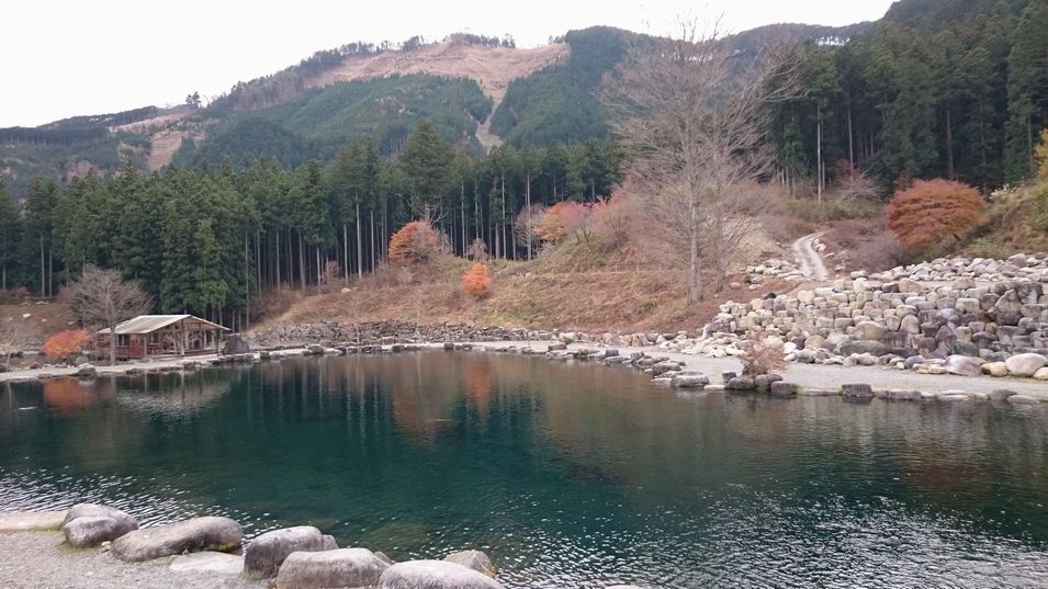 Wild 1おすすめ管理釣り場 栃木県 アウトドアヴィレッジ発光路の森フィッシングエリア Wild 1 Fishing Blog